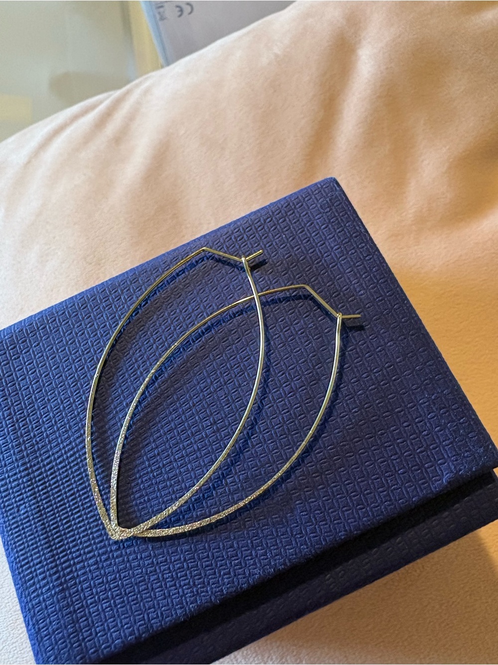 Delicate Textured Metal Leaf Hoop Earrings - Blue